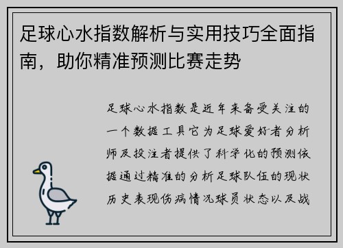 足球心水指数解析与实用技巧全面指南，助你精准预测比赛走势