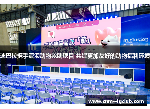 迪巴拉携手流浪动物救助项目 共建更加友好的动物福利环境 迪巴拉携手流浪动物救助项目 共建更加友好的动物福利环境